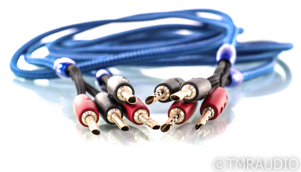 AudioQuest Type 4 Speaker Cables; 10ft Pair