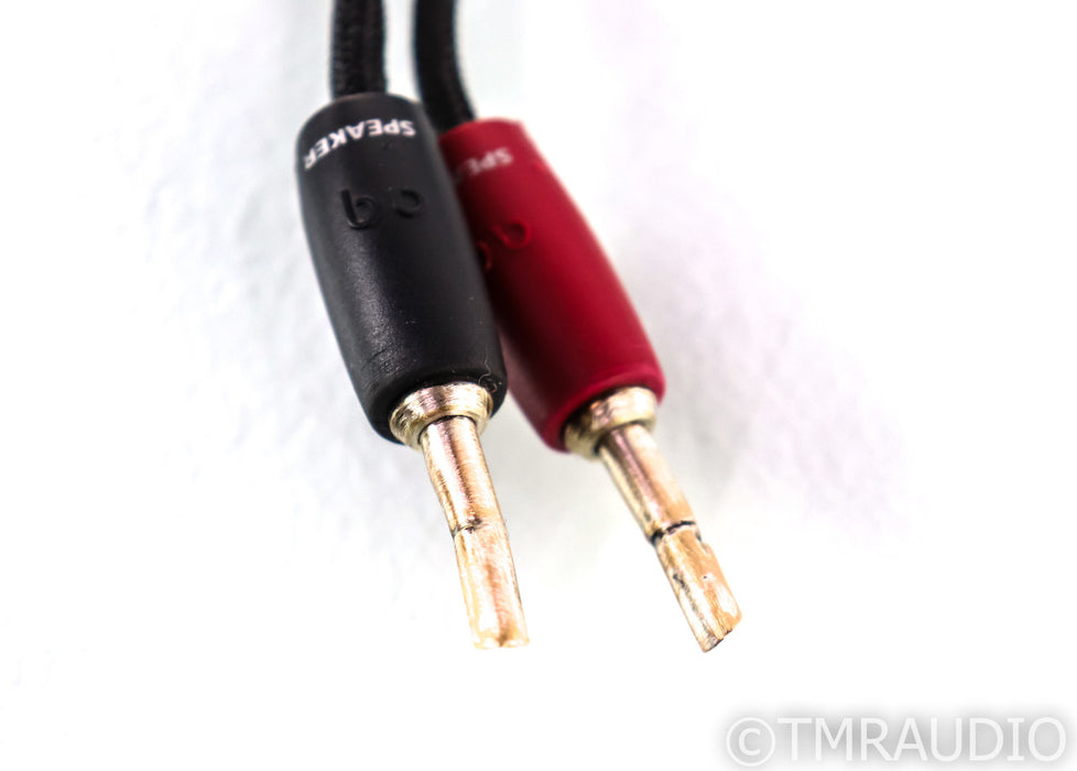 AudioQuest Type 4 Speaker Cables; 10ft Pair
