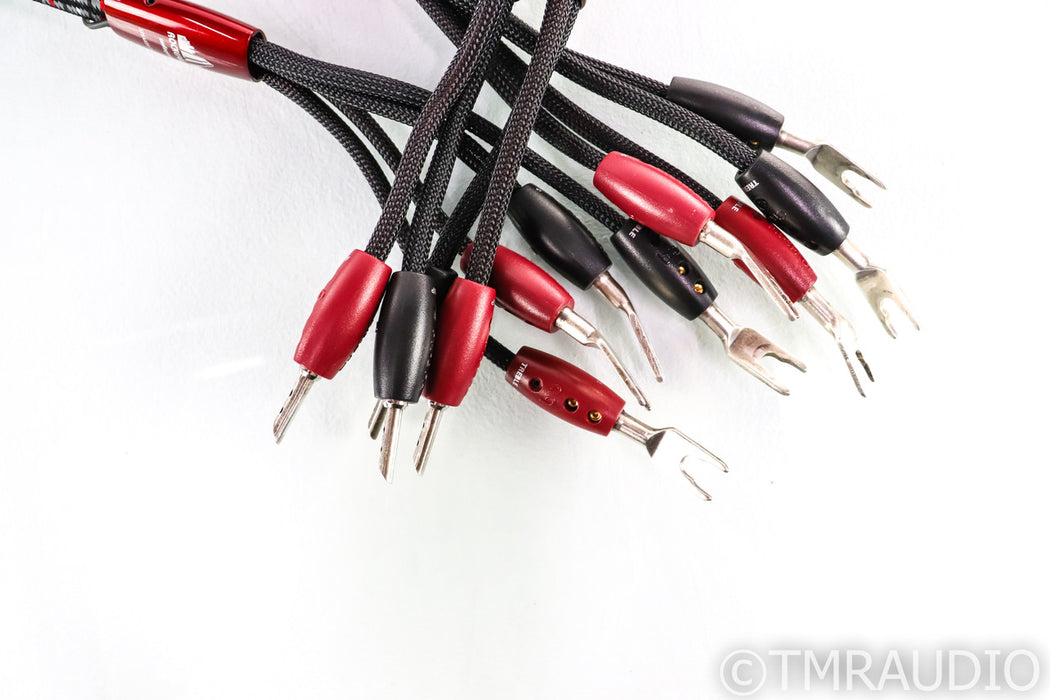 AudioQuest Rockefeller Bi-Wire Speaker Cables; 8ft Pair; 72v DBS