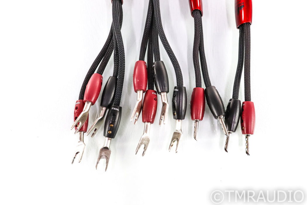 AudioQuest Rockefeller Bi-Wire Speaker Cables; 8ft Pair; 72v DBS