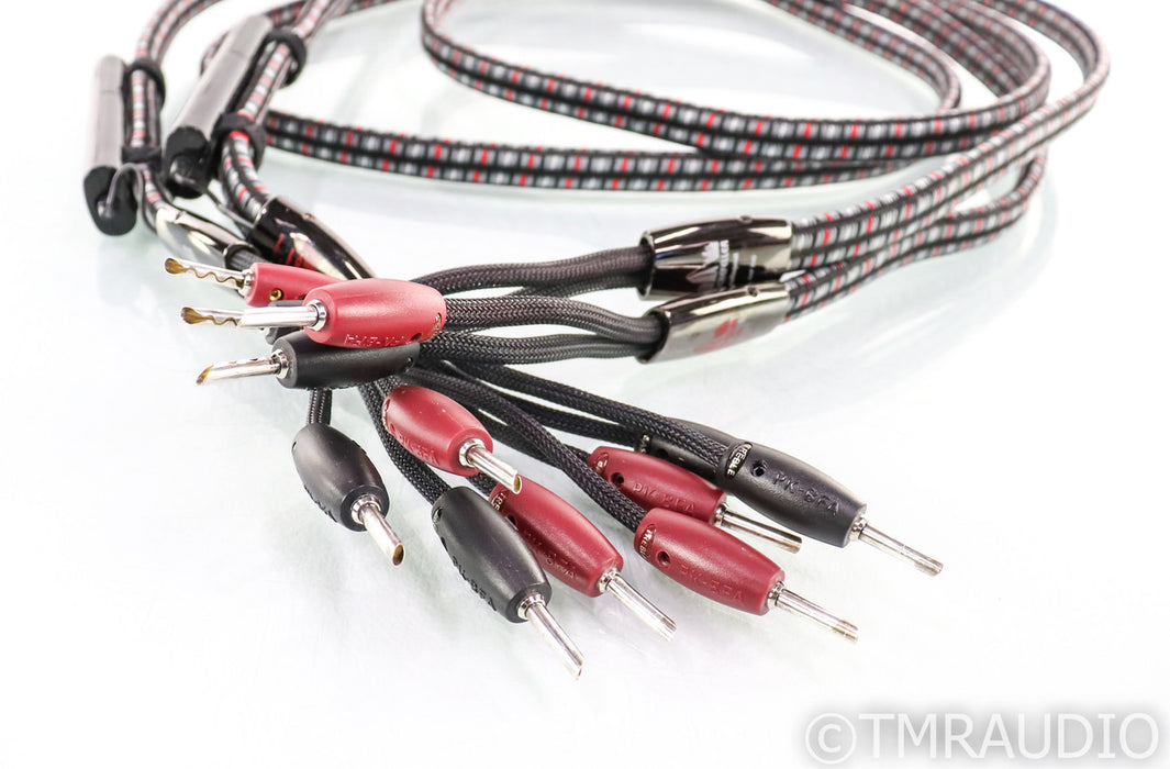 AudioQuest Rockefeller Bi-Wire Speaker Cables; 8ft Pair; 72v DBS (1/3)