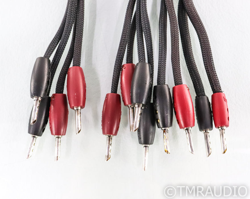 AudioQuest Rockefeller Bi-Wire Speaker Cables; 8ft Pair; 72v DBS (1/3)
