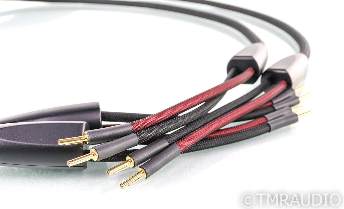 Transparent Audio Plus Speaker Cables