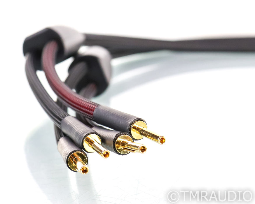 Transparent Audio Plus Speaker Cables