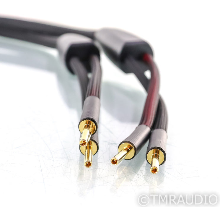 Transparent Audio Plus Speaker Cables