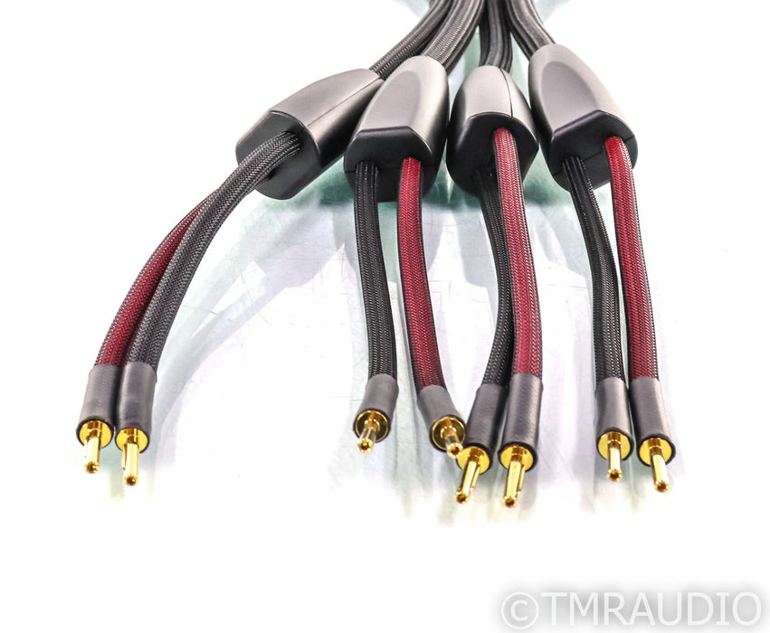 Transparent Audio Plus Speaker Cables; 8ft Pair; Gen 5