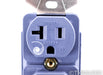 Cardas Audio 4181US Duplex Wall Power Outlet