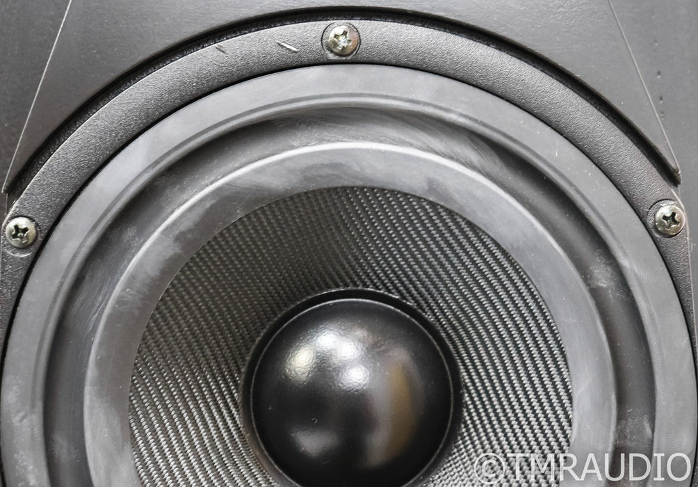Vandersteen Treo CT Floorstanding Speakers