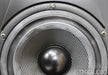 Vandersteen Treo CT Floorstanding Speakers