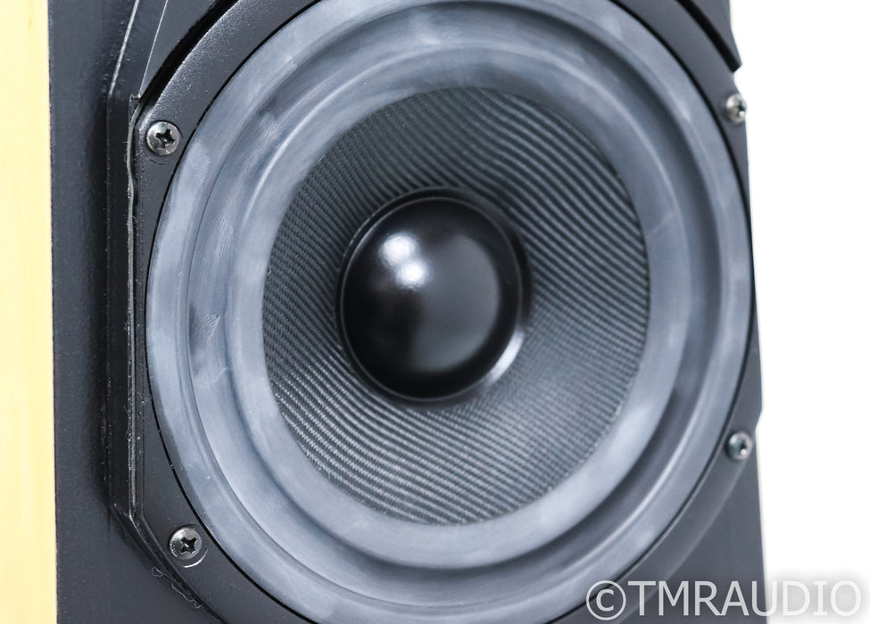 Vandersteen Treo CT Floorstanding Speakers