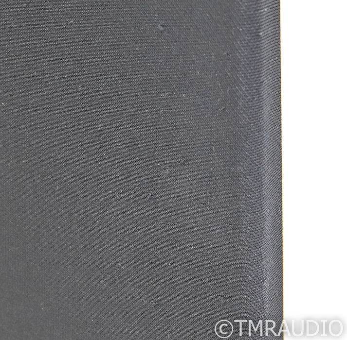 Vandersteen Treo CT Floorstanding Speakers