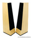 Vandersteen Treo CT Floorstanding Speakers