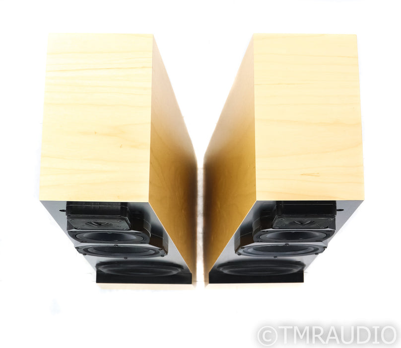 Vandersteen Treo CT Floorstanding Speakers