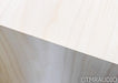 Vandersteen Treo CT Floorstanding Speakers