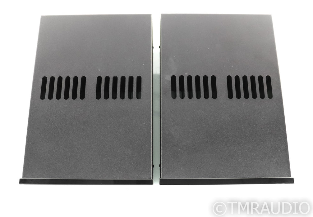 Heed Obelisk PM Mono Power Amplifier