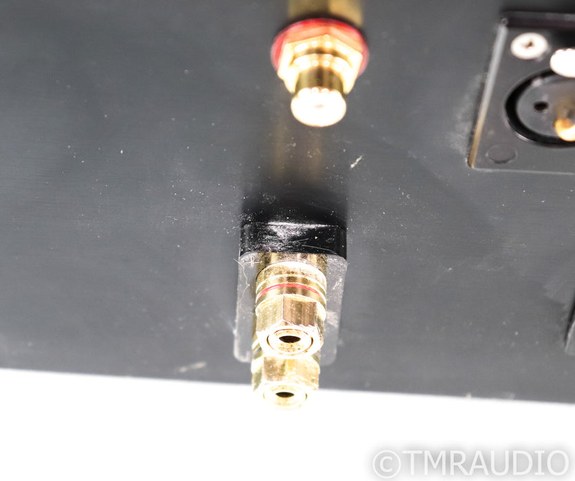 First Watt J2 Stereo Power Amplifier; J-2; Nelson Pass; JFET