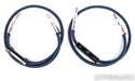 AudioQuest WEL Signature RCA Cables; 1.5m Pair Interconnects; 1st Gen; 72v DBS
