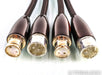 AudioQuest Mackenzie XLR Cables; .5m Pair Balanced Interconnects