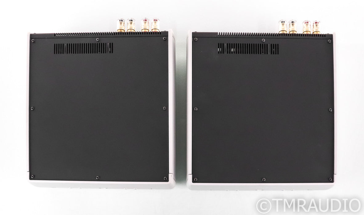 Audio Alchemy DPA-1M Mono Power Amplifier