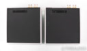 Audio Alchemy DPA-1M Mono Power Amplifier