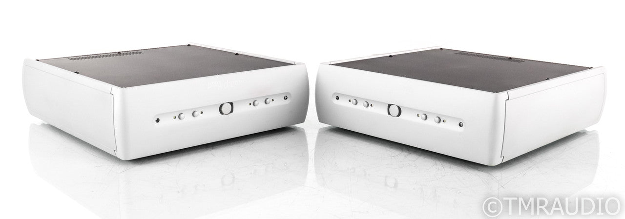 Audio Alchemy DPA-1M Mono Power Amplifier