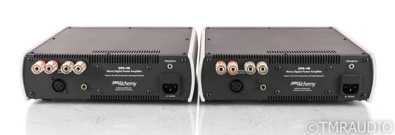 Audio Alchemy DPA-1M Mono Power Amplifier