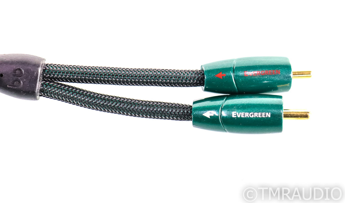 AudioQuest Evergreen RCA Cable; 2m Stereo Interconnect