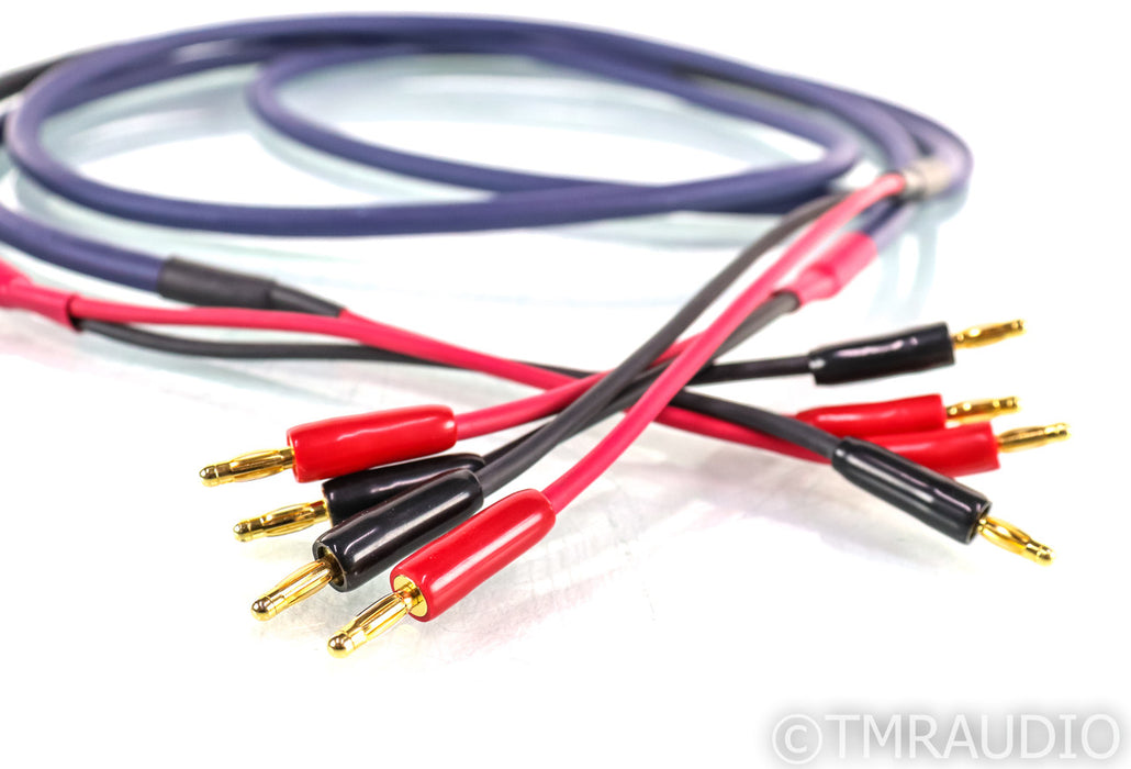 Audo Art Cable SC-5 Classic Speaker Cables; 6ft Pair; AAC SC5