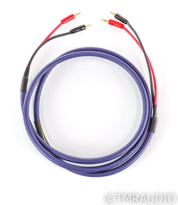 Audio Art Cables SC-5 Classic Speaker Cable; 6ft; Single; AAC SC5