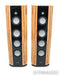 Ayon Audio Black Falcon Floorstanding Speakers