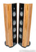 Ayon Audio Black Falcon Floorstanding Speakers