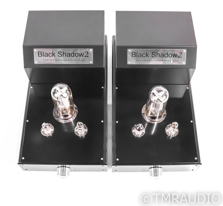 Audion Black Shadow 2 MKII Mono Power Amplifier