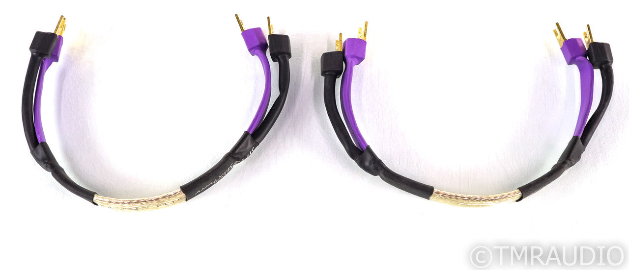 Analysis Plus Silver Oval Speaker Jumpers; 13" Pair
