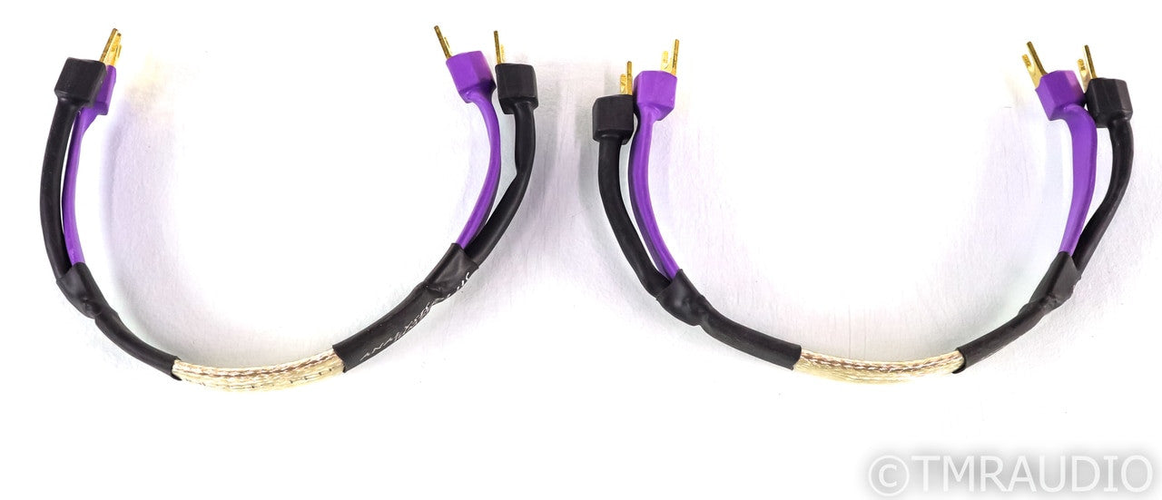 Analysis Plus Silver Oval Speaker Jumpers; 13" Pair