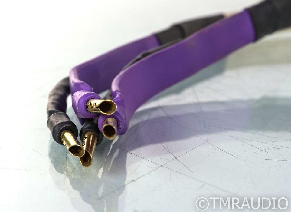 Analysis Plus Silver Oval Speaker Cables; 11ft Pair