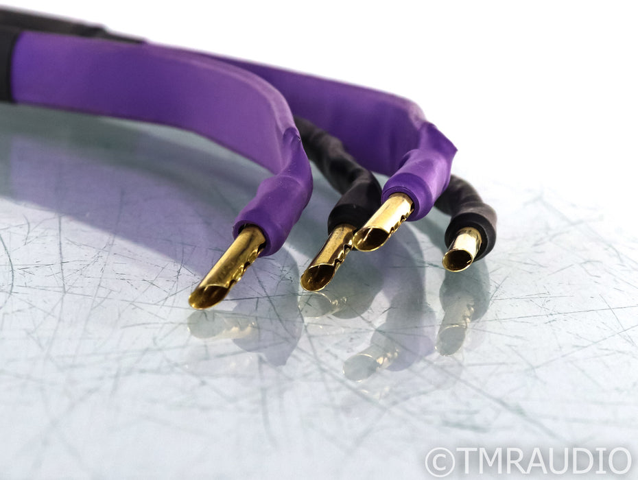 Analysis Plus Silver Oval Speaker Cables; 11ft Pair