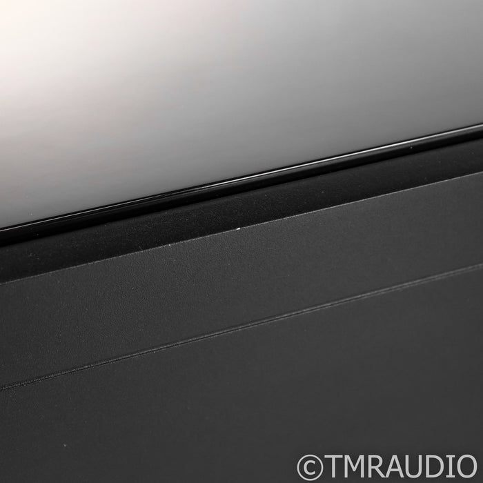 PS Audio BHK Signature 300 Mono Power Amplifier