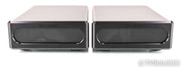 Bel Canto e.One REF600M Mono Power Amplifier