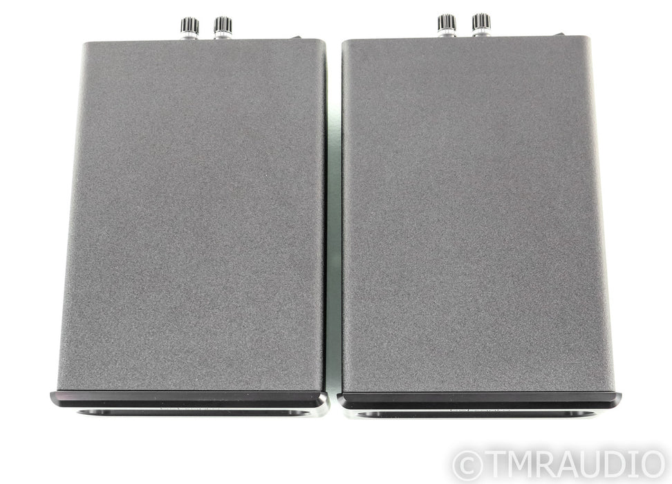 Bel Canto e.One REF600M Mono Power Amplifier