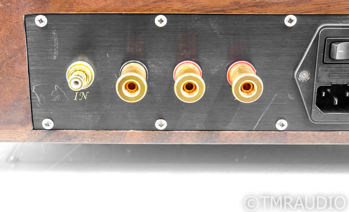 Arte Forma Due Volte Tube Mono Power Amplifier