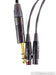 Moon Audio Black Dragon 1/4" Headphone Cable; 5ft; Mini-XLR; Audeze
