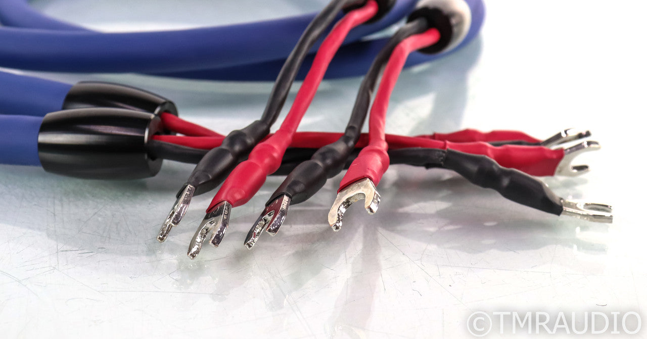 Cardas Clear Cygnus Speaker Cables; 2m Pair