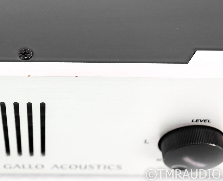Anthony Gallo Acoustics Reference 3 SA Power Amplifier; Crossover; Subwoofer