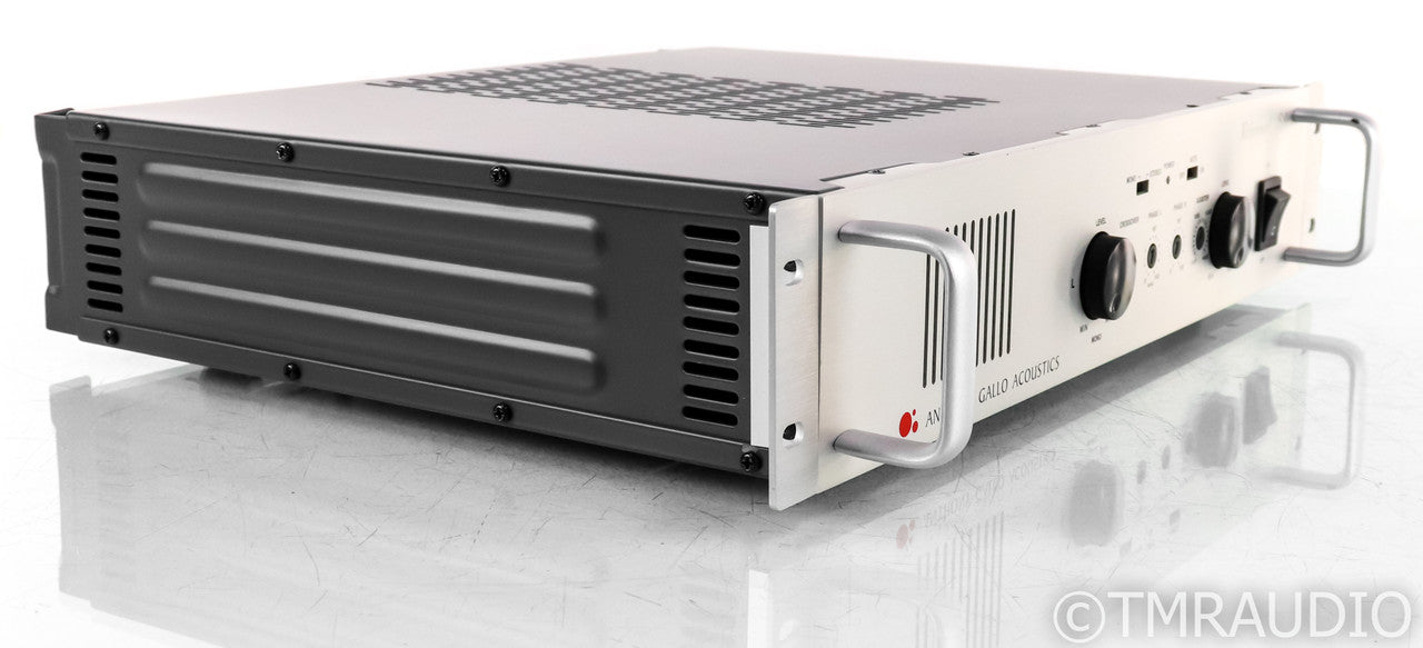 Anthony Gallo Acoustics Reference 3 SA Power Amplifier; Crossover; Subwoofer