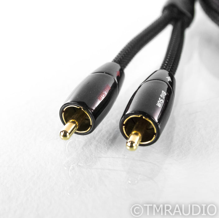 AudioQuest Big Sur RCA Cables; 2m Pair Interconnects