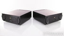 PS Audio 250 Delta Mono Power Amplifier