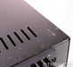 PS Audio 250 Delta Mono Power Amplifier
