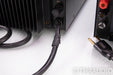 PS Audio 250 Delta Mono Power Amplifier