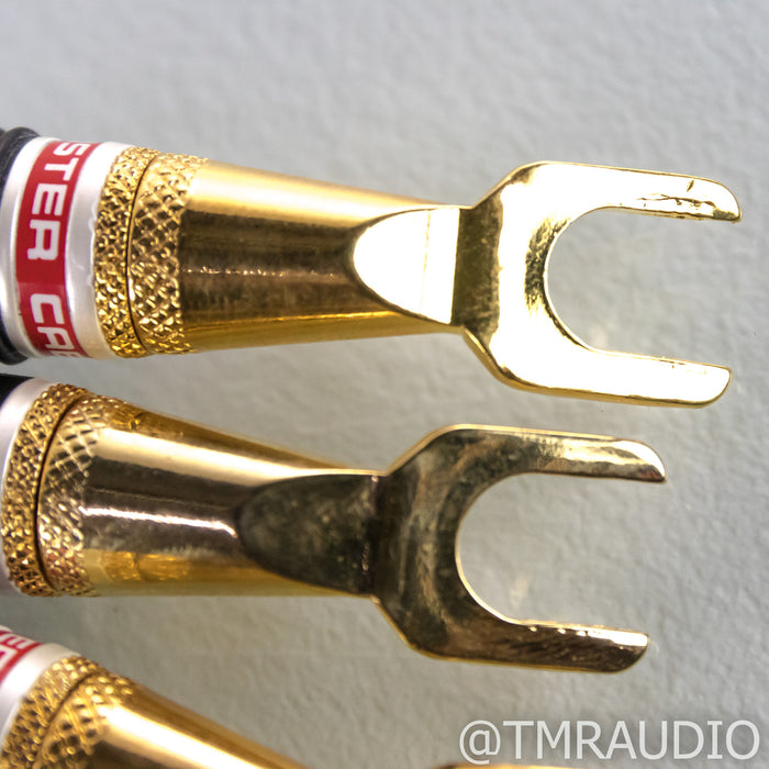 Monster Cable M2.4s Biwire Speaker Cable; Single 8ft