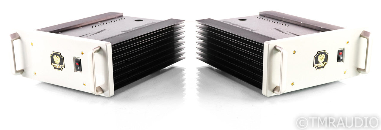 Monarchy Audio SE-250 Tube Hybrid Mono Power Amplifier